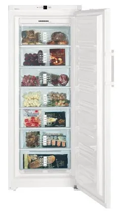 Морозильная камера Liebherr GN 3613 в Москве и Московской области от магазина Ammina